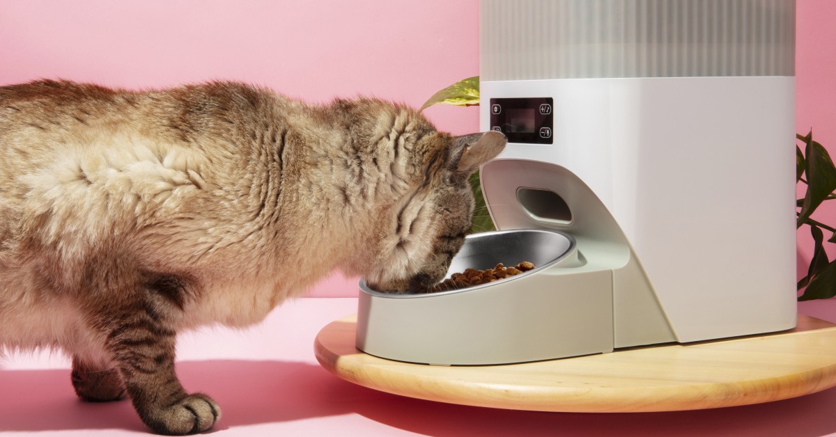 Health Monitoring Devices for Pets: What You Need to Know